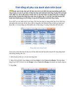 Tính tổng số phụ của danh sách trên Excel