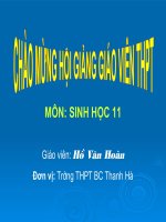 tap tinh dong vat tiet 1