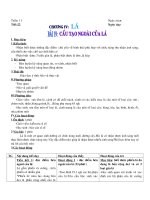 Bài 19 Cấu tạo ngoài của lá