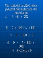 Bài tập Bồi dưỡng HSG