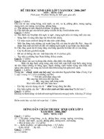 Đề thi HSG TV lớp 5