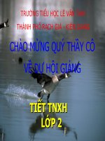 MÔT SÔ LOAI VAT SỐNG DƯỚI NƯỚC