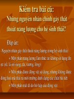 Bài 64. Sinh quyển