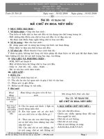 Bài 23 Vẽ trang trí