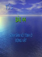 Bài 44. Sinh sản vô tính ở động vật