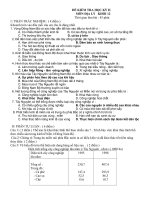 Đề thi học kỳ II lớp 12 (TN+TL)