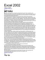 giáo trình  Excel 2002
