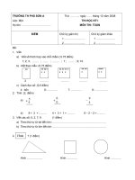 Đề thi Toán lớp 1HKI