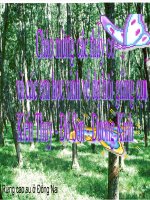 Đại cương Polyme