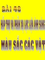 Hấp thụ và phản xạ lọc lựa ánh sáng(Chu Văn Biên)