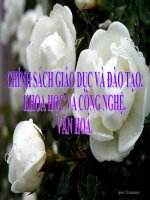 Bài 12. CHÍNH SÁCH TÀI NGUYÊN VÀ BẢO VỆ MÔI TRƯỜNG