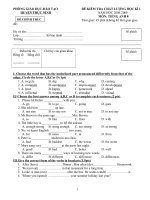 THE FIRST SEMESTER EXAMINATION -GRADE 8