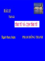 Tiết 63: Tính từ và cụm Tính Từ