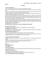 SKKN VE PPGIAI NHANH BT