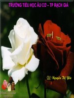 LUYỆN TẬP CÂU KỂ AI LÀM GÌ?