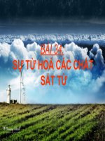 Sự từ hóa các chất-Sắt từ