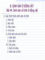 Bai: SINH SẢN VÔ TÍNH Ở ĐỘNG VẬT