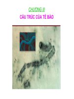 Cau truc te bao