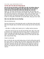 Tự làm sữa rửa mặt