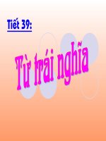 Tu trai nghia