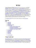 Thông tin về WTO
