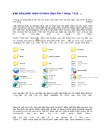 Việt hóa phần mềm