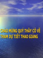 Dấu ngoặc đơn và dấu hai chấm