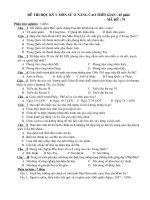 ĐỀ KT HKI SỬ NC