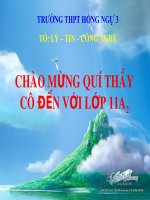 Bài 13: Dòng điện trong kim loại