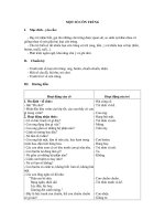 Lớp 5 tuổi - Chủ đề môi trường: Một số côn trùng