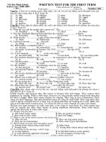 Written test for grade 10 (term I)