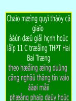 Bài soạn thi cấp tỉnh