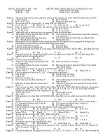 Kiểm tra 1 45 phut lớp 11 cơ bản