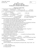 Đề kiểm tra Ngữ văn 15 phút - Cơ bản