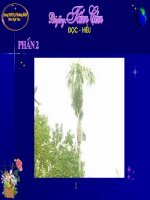 Giáo án điện tử: Tấm cám P2