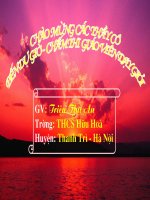 Tiết 91: Câu phủ định