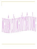 nghiên cứu người tiêu dùng