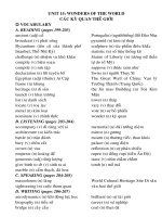 E11NC UNIT 15: TV,NP,BT