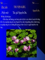 Tác giả Nguyên Du