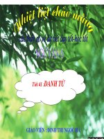 Tiết 41: Danh từ (tiếp)