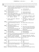 Đề kiểm tra 45'' lớp 11