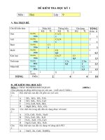 Noel 2008-Đề thi Hóa HK1 lớp 8 kèm đáp án (Đề 13)