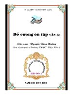 Đề cương ôn tập Ngữ  văn 12