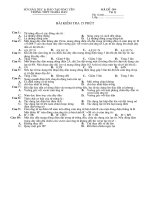 XK: KT 15 phut lop 11 - Tu truong (de 4)