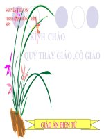 GAĐT THAO GIẢNG - TỔNG BA GÓC TRONG MỘT TAM GIÁC