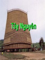 Tây Nguyên