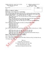 Bai kiem tra DKKII Quyen 1