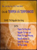 báo cáo hợp chất thiên nhiên 16