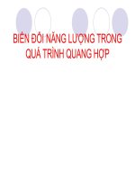 quang hợp
