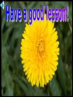 Unit 14: Lesson 5: C1-3/ p.147-148